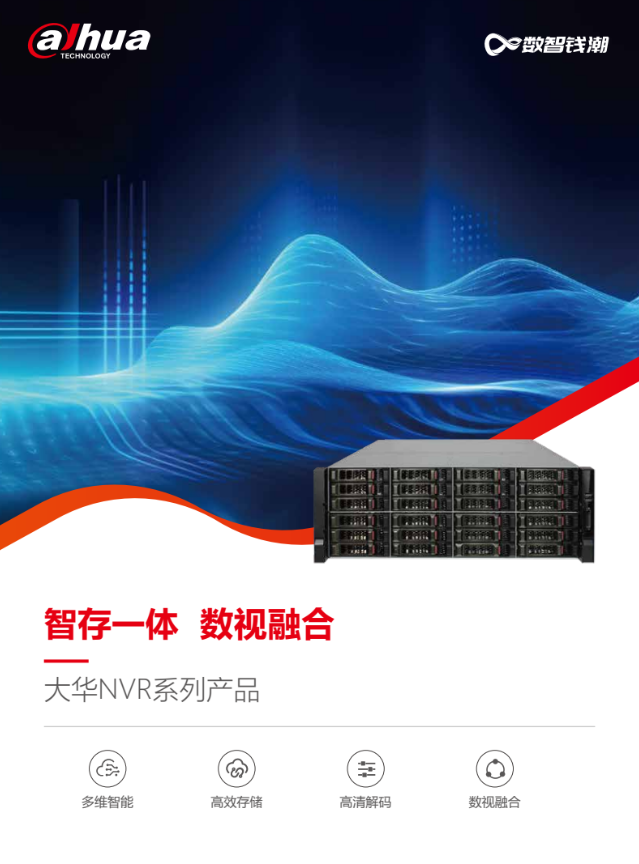 大华NVR系列产品